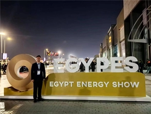 Il gruppo Longhua ha preso parte allo spettacolo energetico egiziano (EGYPES 2024)